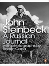 A Russian Journal (eBook)